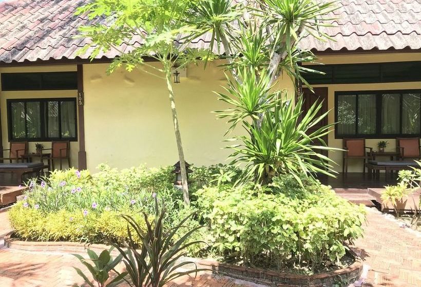 Hotel O.p. Bungalow 11