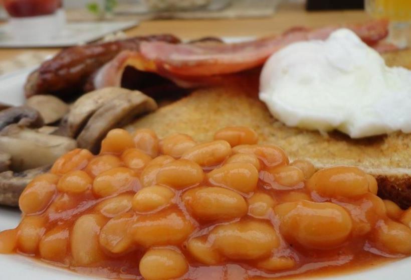 Motel Destiny On Fitzherbert 12