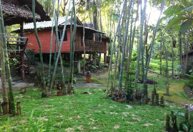 Hotel Chang Pai Resort 7