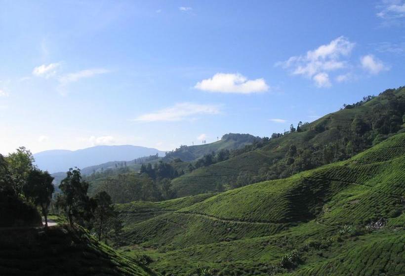 Hotel Emerald Inn 12