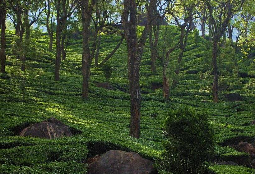 Hotel Emerald Inn 13