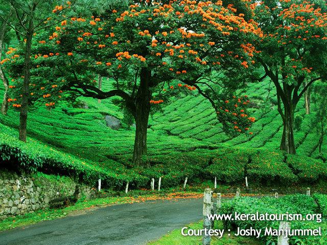 Hotel Emerald Inn 18