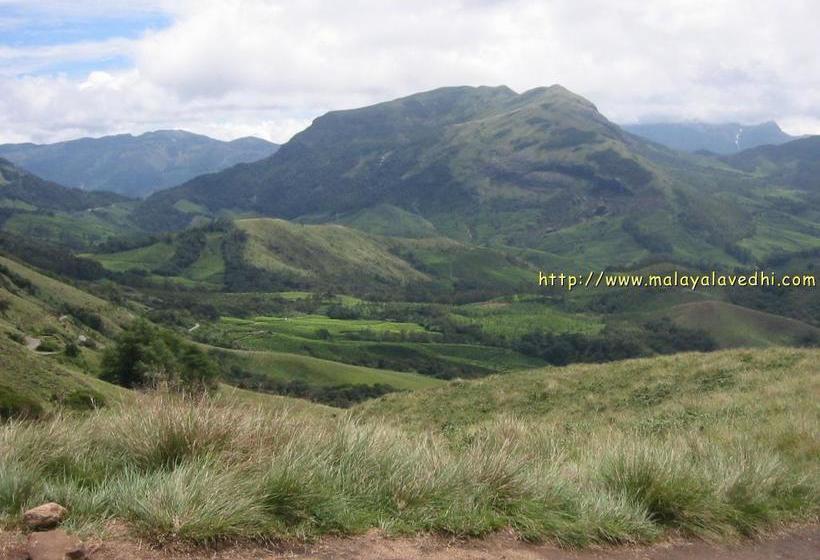 Hotel Emerald Inn 19