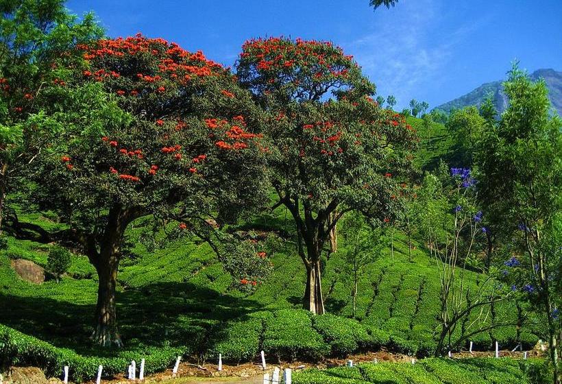 Hotel Emerald Inn 20