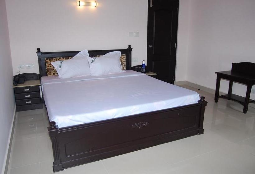 Hotel Emerald Inn 7