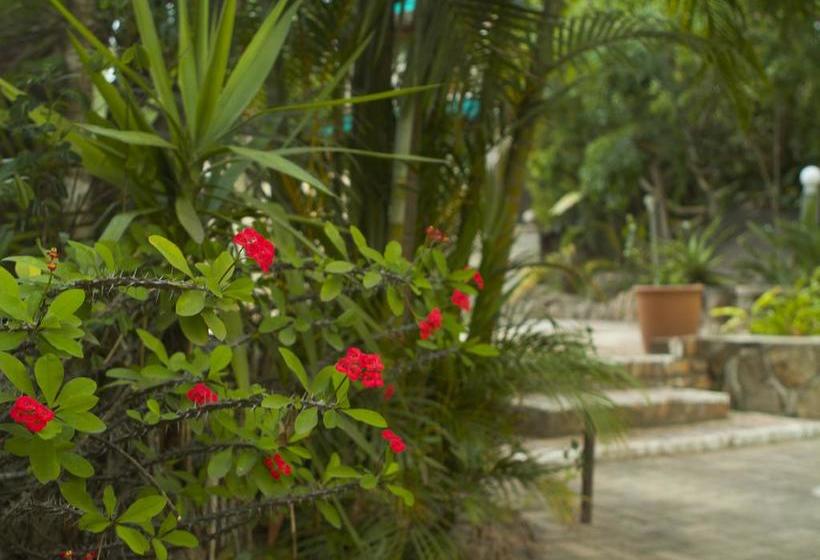 Pension Sunset Manor 5