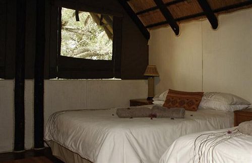 Hippo Pools Resort 4