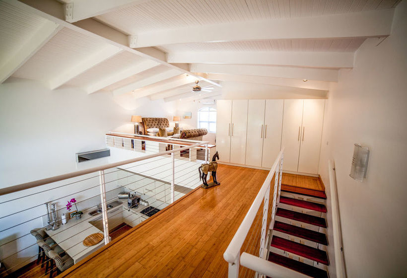 The Ivy Apartments 11