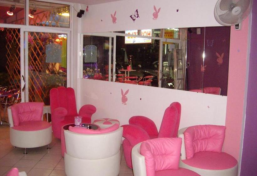 Wild & Wandering Hostel 12