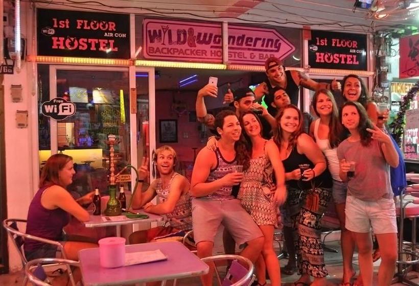 Wild & Wandering Hostel 20