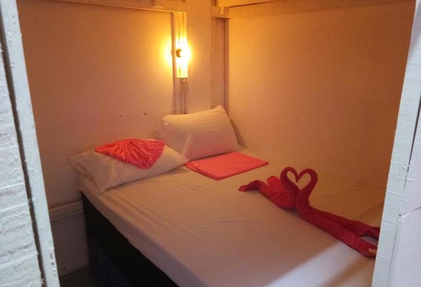 Wild & Wandering Hostel 3