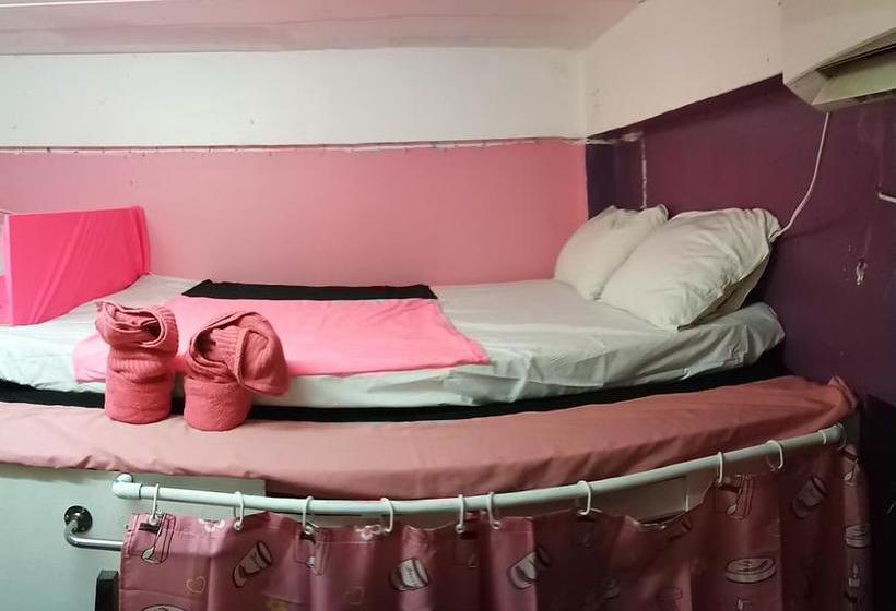 Wild & Wandering Hostel 4