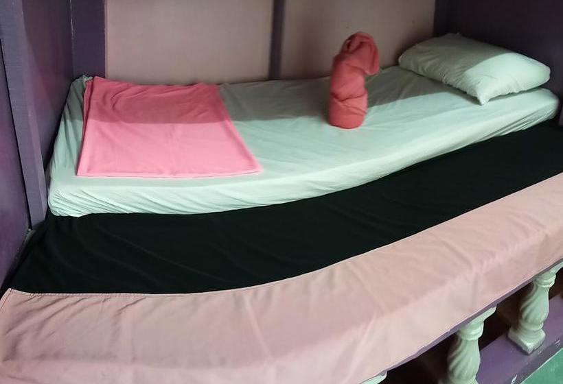 Wild & Wandering Hostel 5