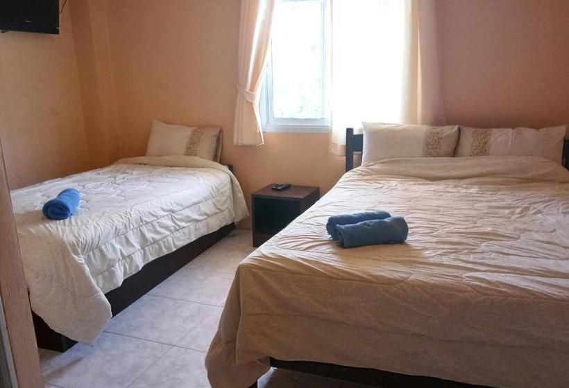 Wild & Wandering Hostel 6