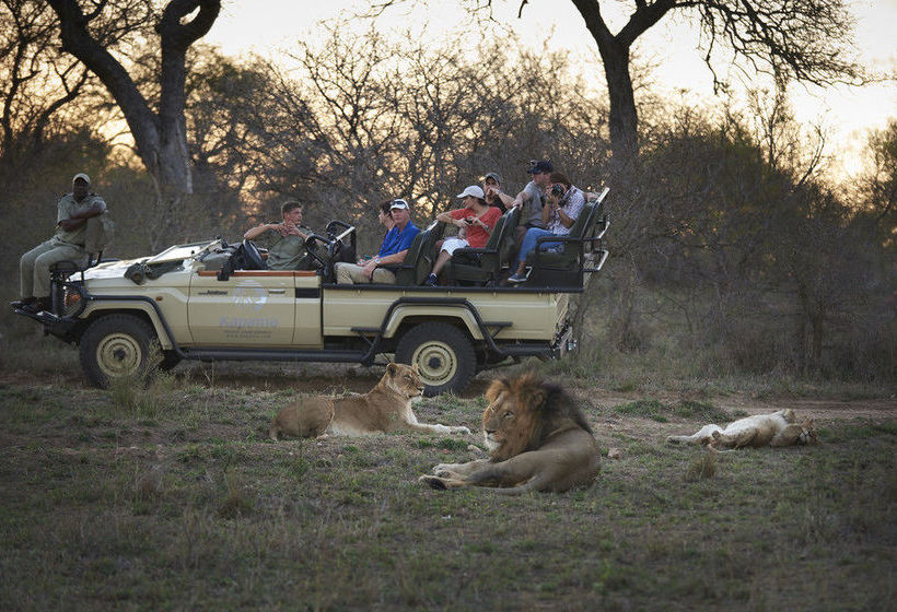 Hotel Kapama Private Game Reserve - Kapama Buffalo Camp 17