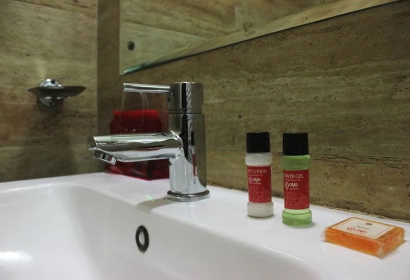 Hotel Oyo Rooms Near Paras Hospital 13