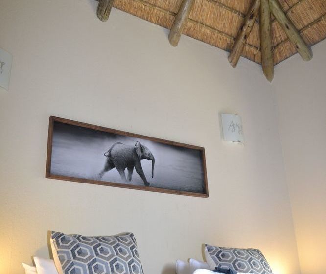 Raptors Wildlife Escapes 28 Apartment 7