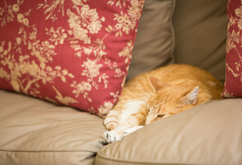 Pension La Vieille Ferme 20