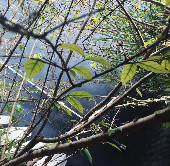 Hotel In Touch Resort 11