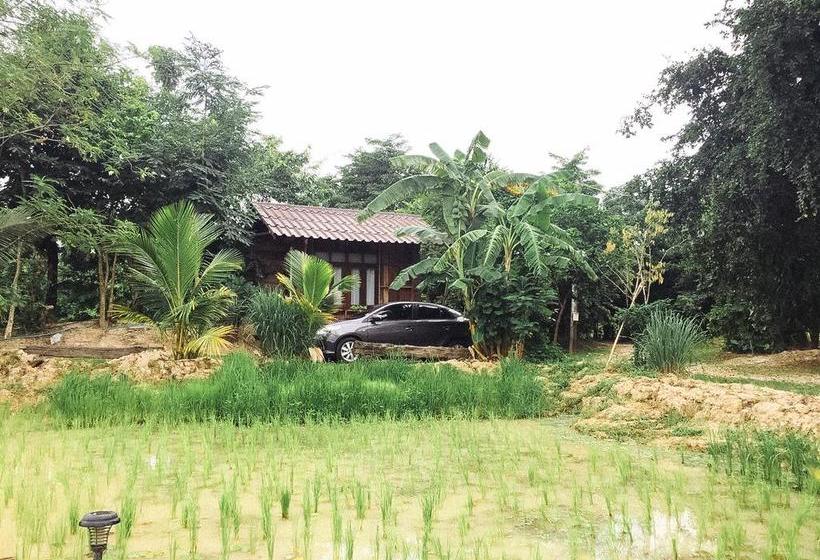 Pension Sukhothai City Resort 4