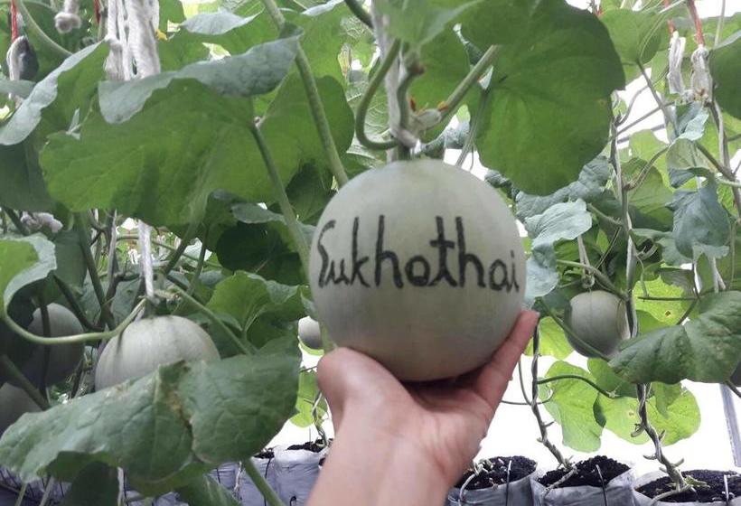 Pension Sukhothai City Resort 7