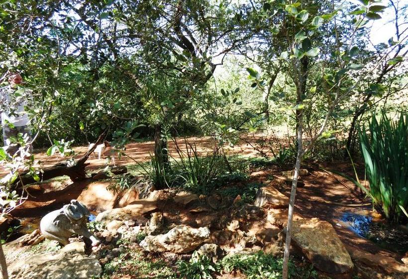 Pension Meerkatplaats Guesthouse And B&b 12