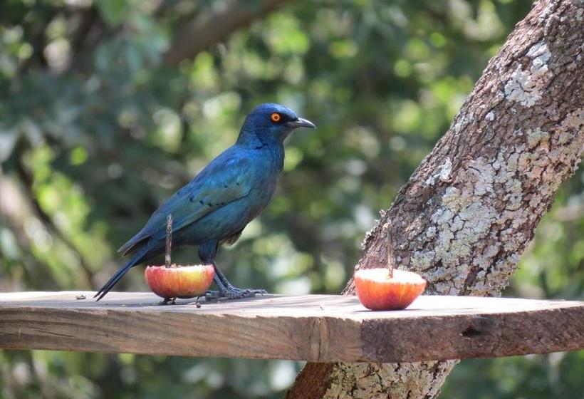 Pension Meerkatplaats Guesthouse And B&b 13