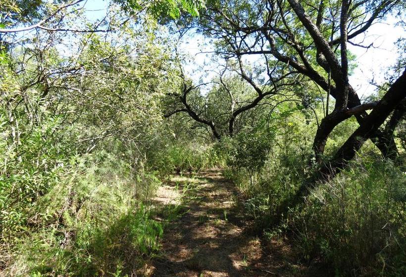 Pension Meerkatplaats Guesthouse And B&b 15