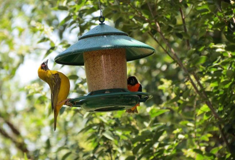 Pension Meerkatplaats Guesthouse And B&b 17