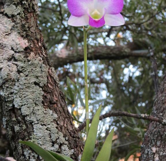 Pension Meerkatplaats Guesthouse And B&b 20