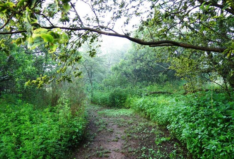 Pension Meerkatplaats Guesthouse And B&b 3