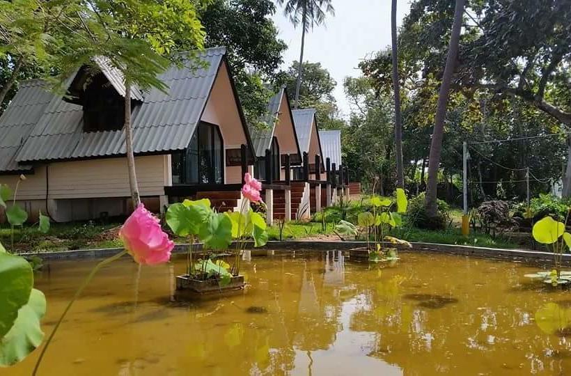 Hotel Banana Sunset Bar & Bungalows 1