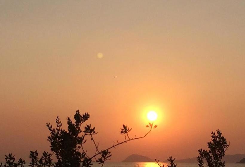 Hotel Banana Sunset Bar & Bungalows 4