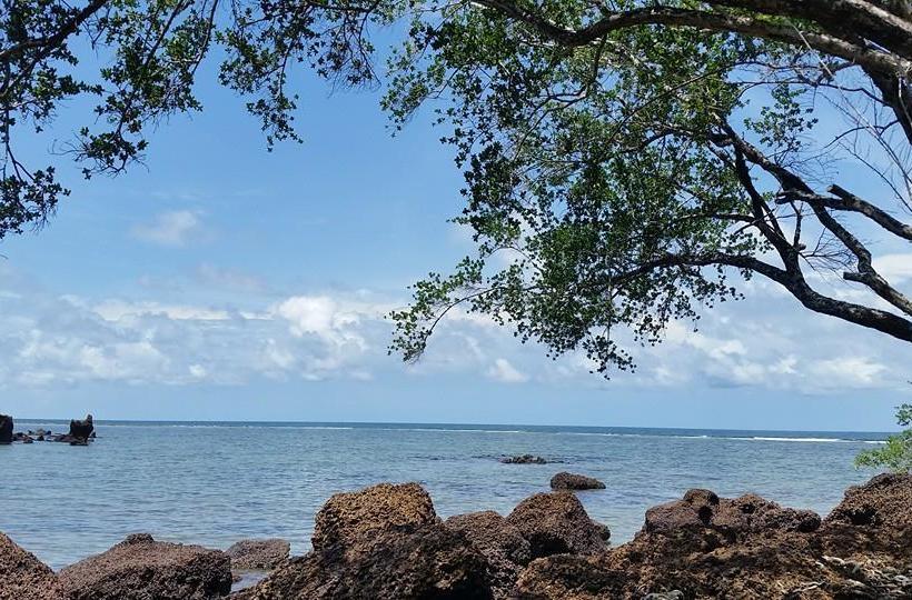 Hotel Banana Sunset Bar & Bungalows 6