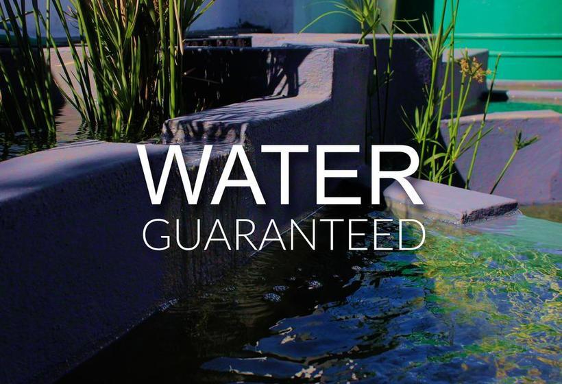 Bed & Breakfast The Muize 13