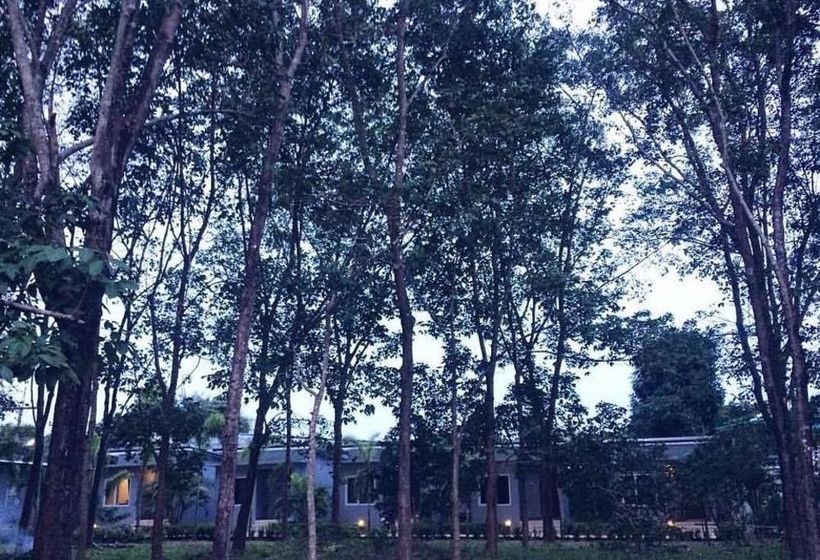 Hotel Saiyuan Garden Resort 16