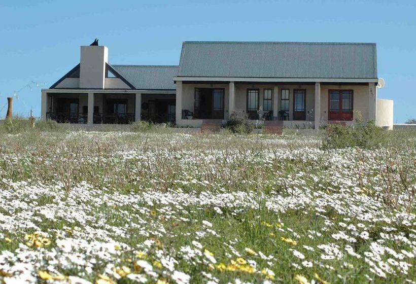 Pensión Indulgenza Art Studio Langebaan