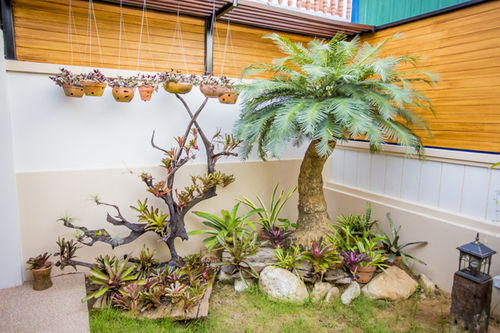 Hotel Tree Home Plus Home Stay 20