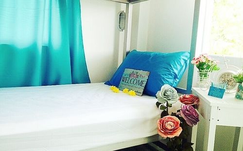 See Sea Backpackers House Hostel 5