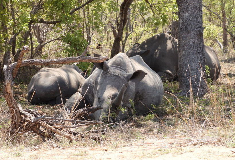 Kruger Country Retreat White River