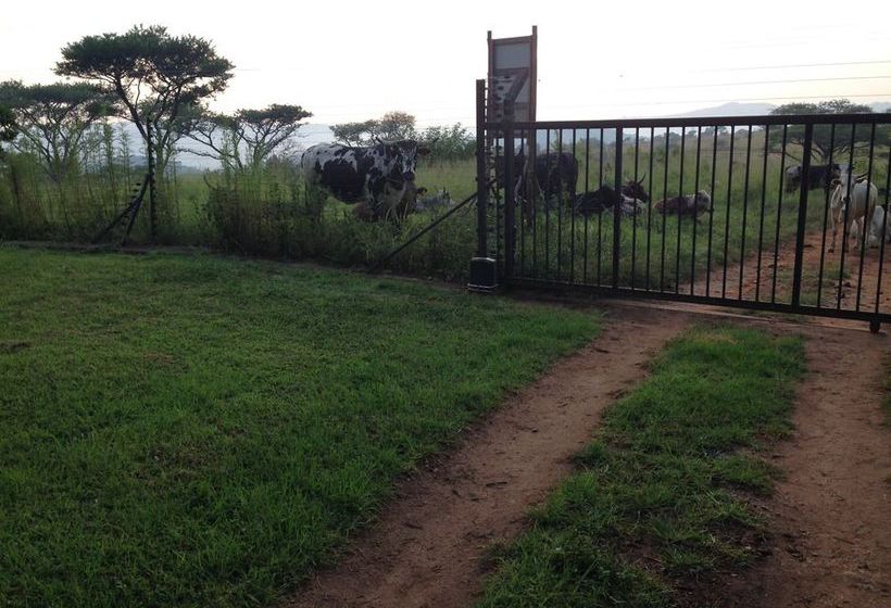 Kruger Country Retreat 11