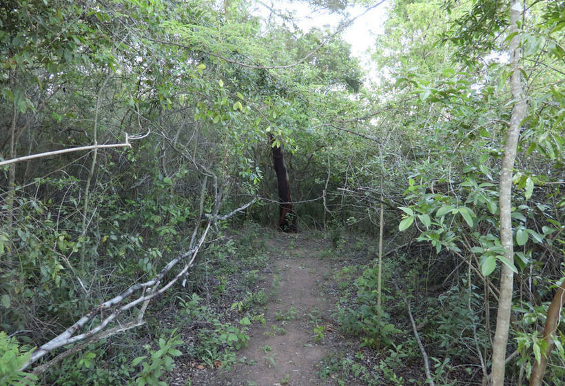 Kruger Country Retreat 15