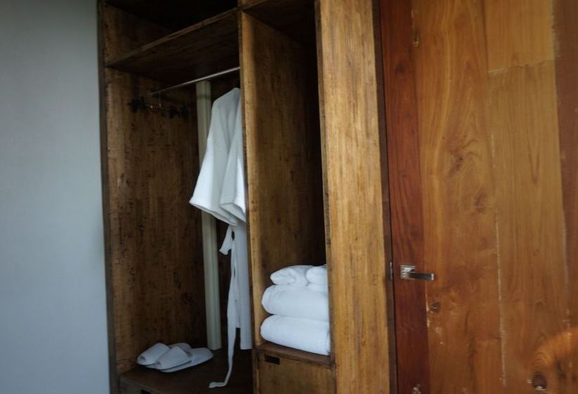 Tanya Baan Bon Doi 3