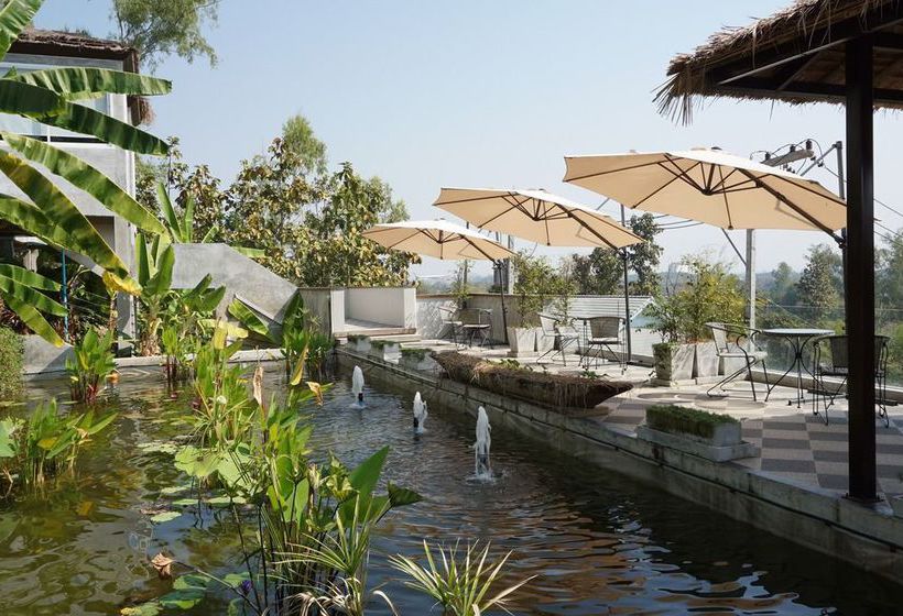 Tanya Baan Bon Doi 5