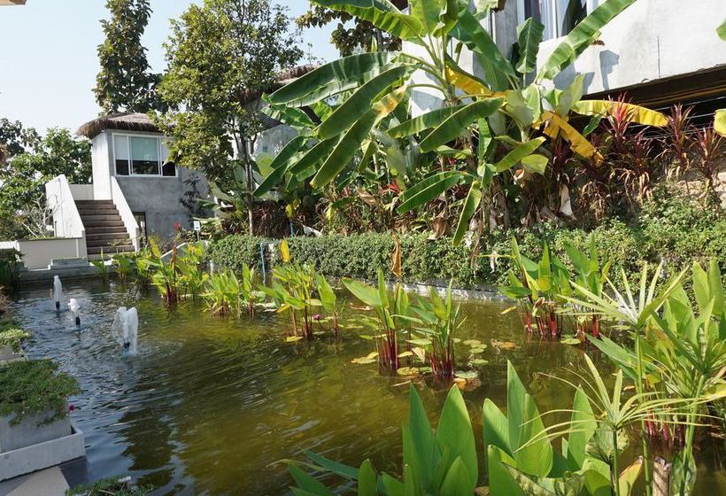 Tanya Baan Bon Doi 6