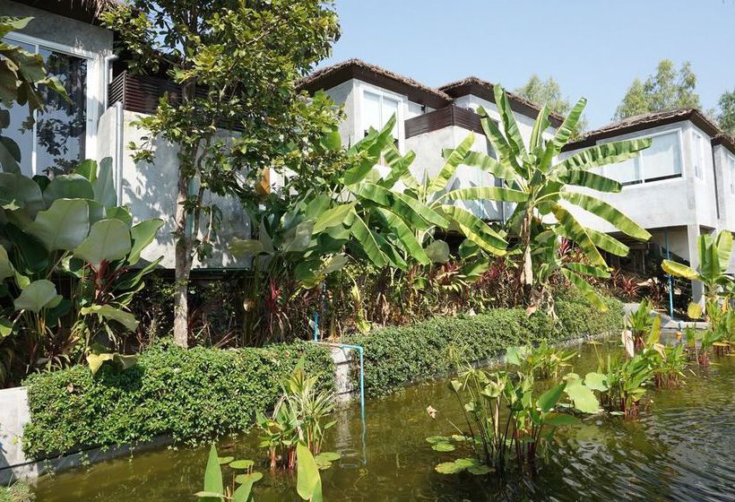 Tanya Baan Bon Doi 8