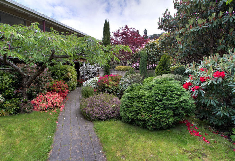 Motel Aurora On George