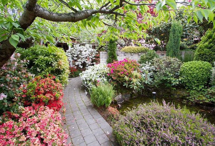 Motel Aurora On George 6