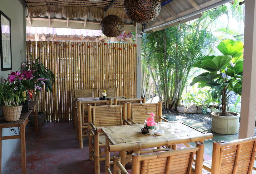 Blue Midnight Hostel 1