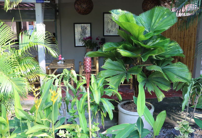 Blue Midnight Hostel 16